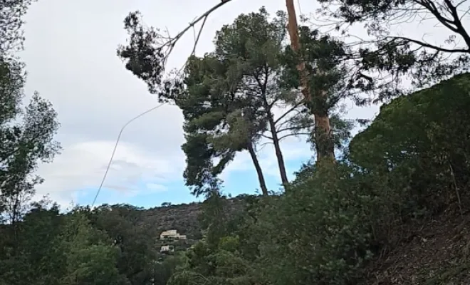 Abattage d’un eucalyptus au Rayol canadel sur mer, Cavalaire-sur-mer, GUILBOT ÉLAGAGE