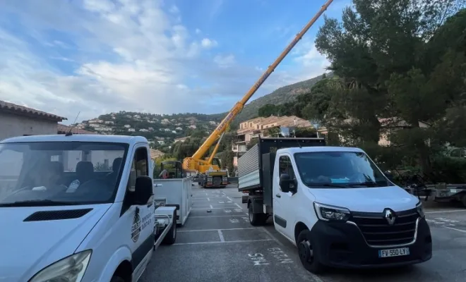 Abattage délicat à cavalaire sur mer, Cavalaire-sur-mer, GUILBOT ÉLAGAGE